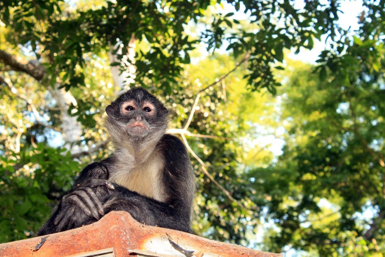 Puerto Barillas Bahia de Jiquilisco エクステリア 写真
