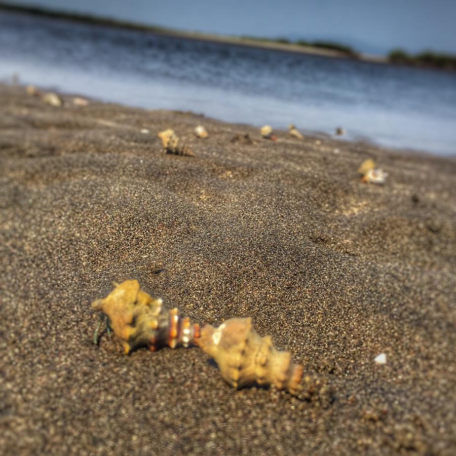 Puerto Barillas Bahia de Jiquilisco エクステリア 写真